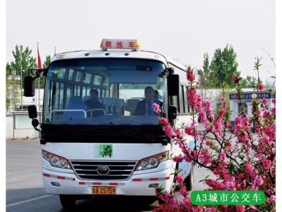 初學/增駕城市公交駕照A3本